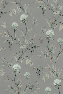 Silvestre Plata - Coordonné