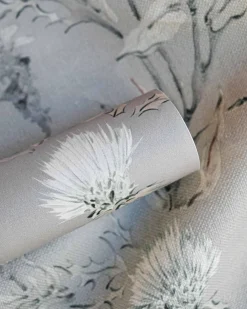 Silvestre Plata - Coordonné