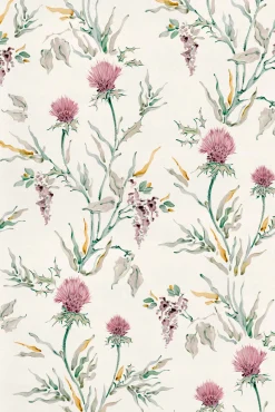 Silvestre Rosaceo - Coordonné