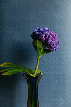 Sisal Bahía - Coordonné