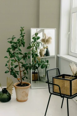 Sisal Silvestre/Verde Claro - Coordonné