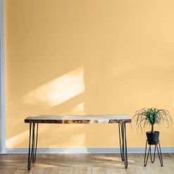 Solazo - NEW - Coordonné