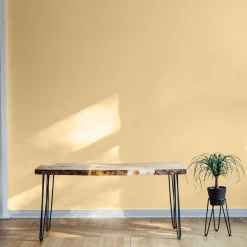 Sorolla - NEW - Coordonné