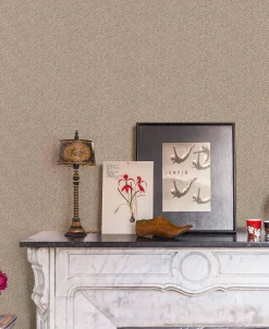 Spike Curry - Coordonné