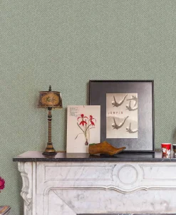 Spike Green - Coordonné