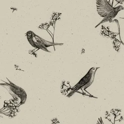 Sweet Birds Black - Coordonné