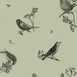 Sweet Birds Matcha - Coordonné