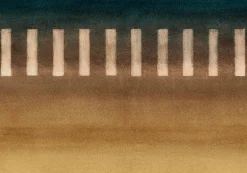 Taki Honey - Coordonné