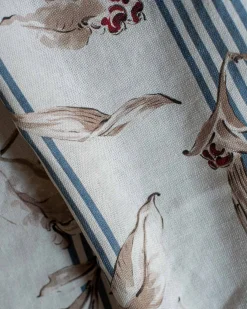 Trepadora Avio - Coordonné