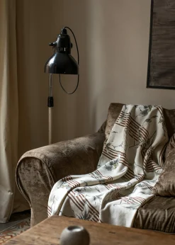 Trepadora Plata - Coordonné