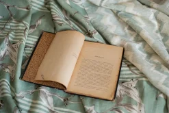 Trepadora Sage - Coordonné