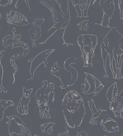 Zoology Chalk - Coordonné