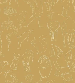 Zoology Curry - Coordonné