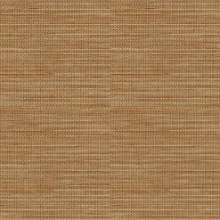 9100008 - Coordonné