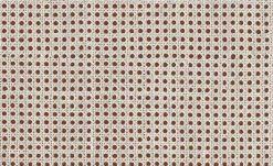 9800005 - Coordonné