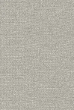 9800031 - Coordonné