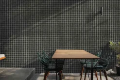 9800016 - Coordonné