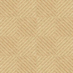 9100002 - Coordonné