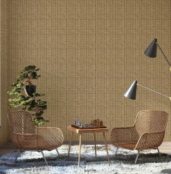 9100005 - Coordonné