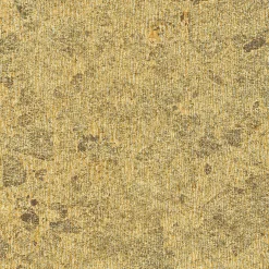 9100209 - Coordonné