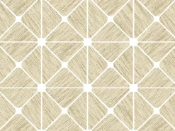 9800043 - Coordonné