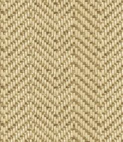 9800053 - Coordonné