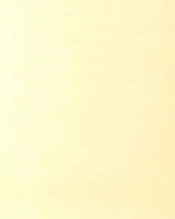 6700019 - Coordonné