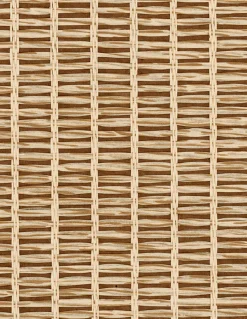 9800019 - Coordonné