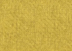 9800084 - Coordonné