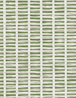 9800017 - Coordonné