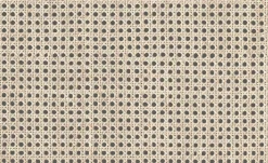 9800002 - Coordonné