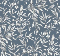 Aceituna Bahía - Coordonné