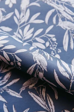 Aceituna Bahía - Coordonné