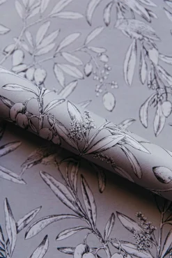 Aceituna Plata - Coordonné