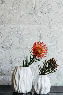 Aceituna Plata - Coordonné