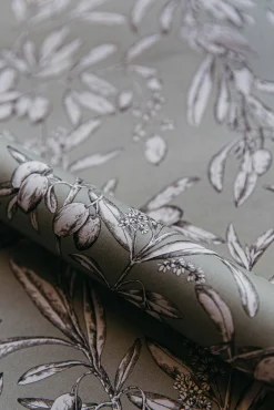 Aceituna Silvestre/Verde claro - Coordonné