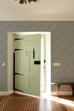 Aceituna Silvestre/Verde claro - Coordonné