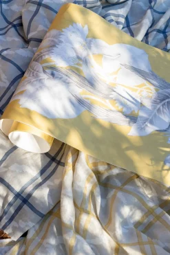 Afri-kat Añil - Coordonné