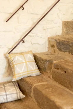 Afri-kat Carbon - Coordonné