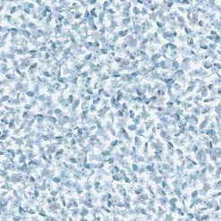 Ana Cielo - Coordonné