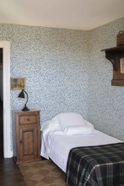 Ana Cielo - Coordonné