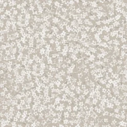 Ana Cisne - Coordonné