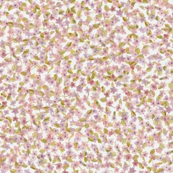 Ana Rosáceo - Coordonné