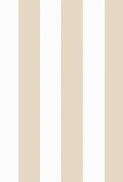 Antonio Vainilla - Coordonné