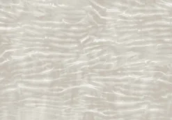 Arashi Cloud - Coordonné