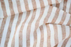 Arcos Albero - Coordonné