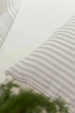 Arcos Arena - Coordonné