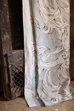 Aves Celadón - Coordonné