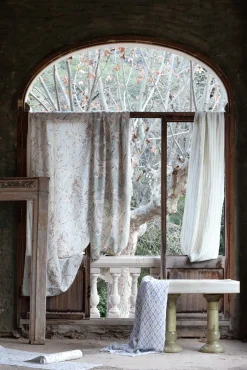 Aves Celadón - Coordonné