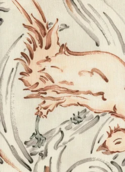 Aves Siena - Coordonné